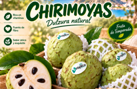 Chirimoyas en Frujuaida